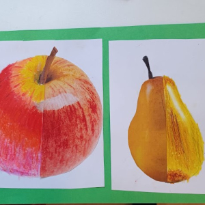 ovoce1.jpg